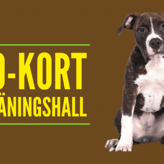 10-kort träningshall