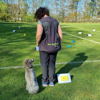 Temakurs - Fokusbubbla