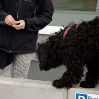 Vardagslydnad fortsättning